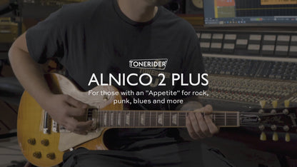 Alnico 2 Plus